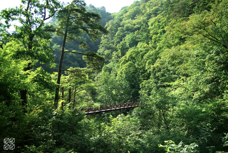 08.吊り橋.jpg