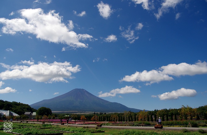14.富士山2.jpg
