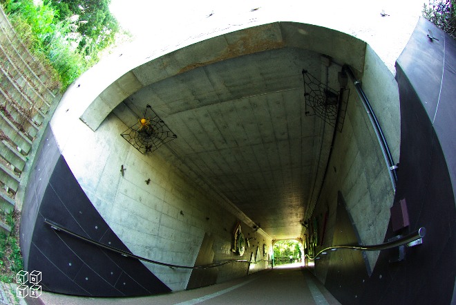 29.トンネル.jpg